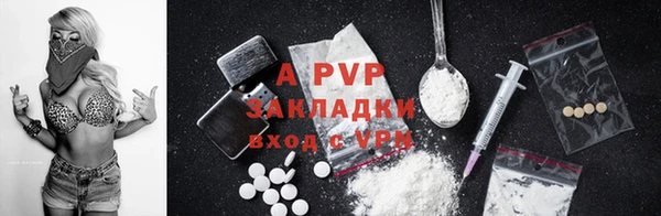 spice Гусиноозёрск