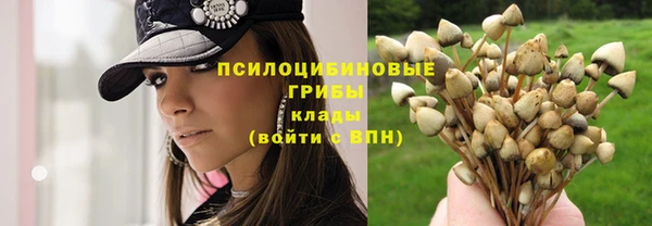 герыч Гусев