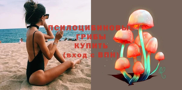 spice Гусиноозёрск